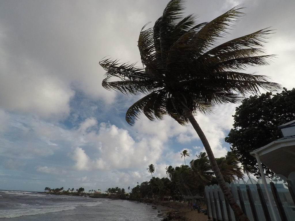 Tobago 2018