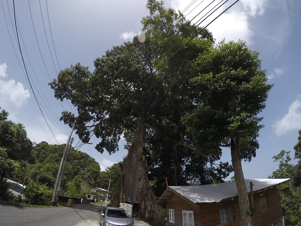 GOPR0017.JPG