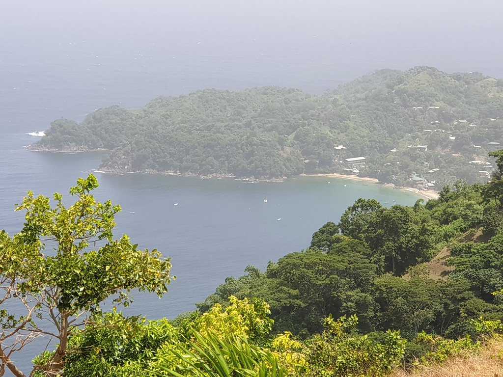 20180920-110031.jpg