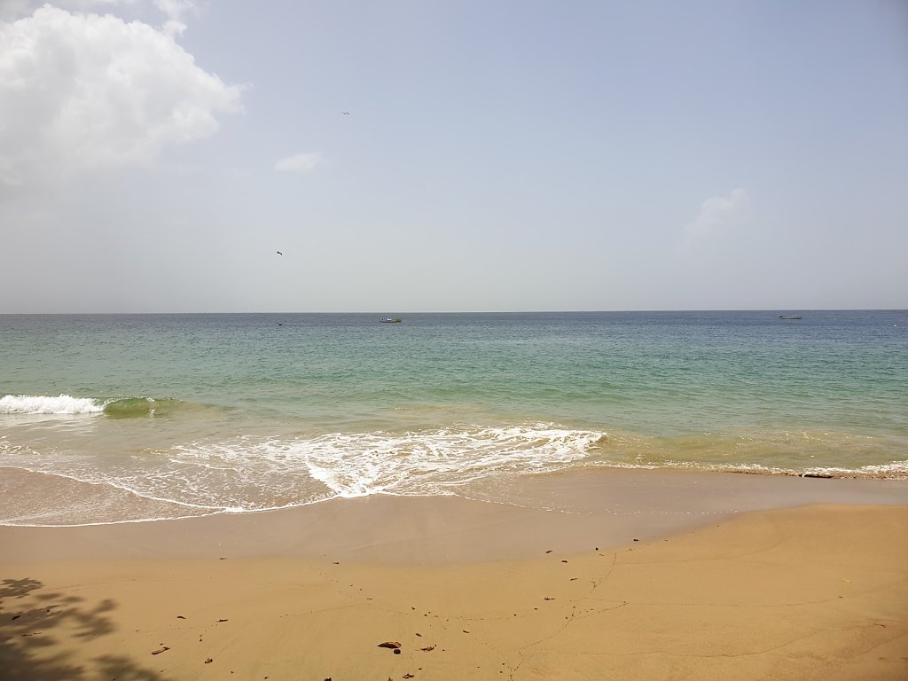 20180920-123743.jpg