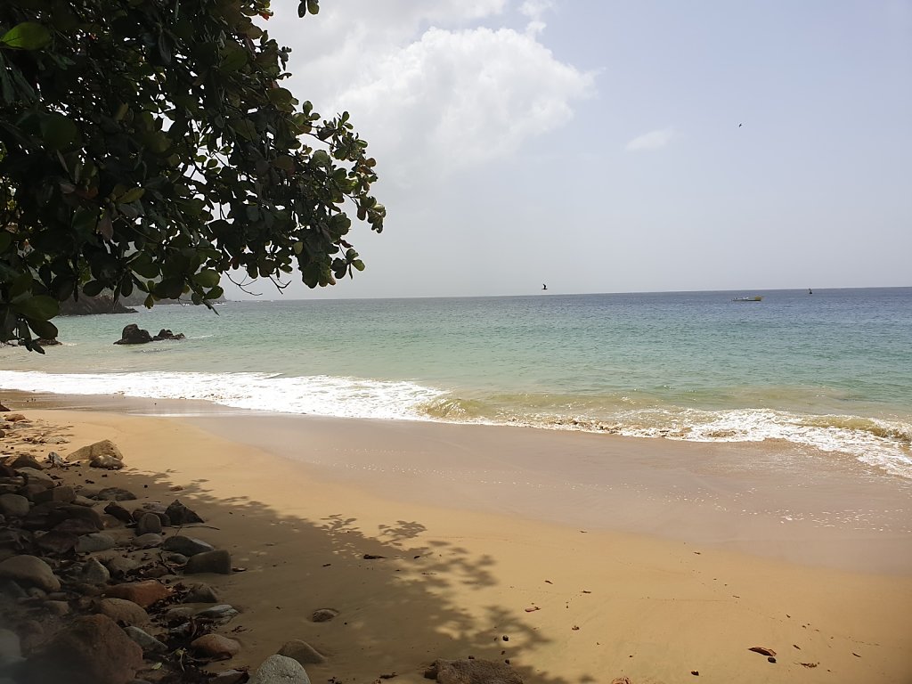 20180920-123746.jpg