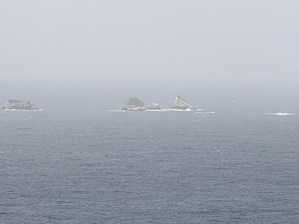 20180920-132048.jpg