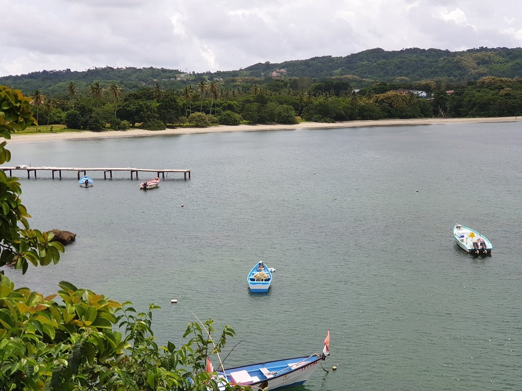 20180923-111338.jpg