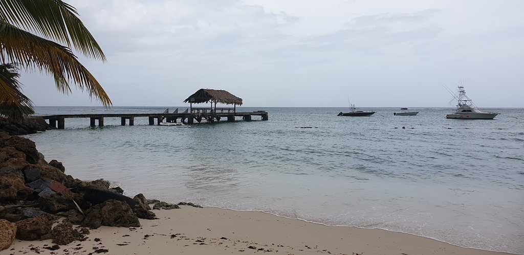 20180926-104908.jpg
