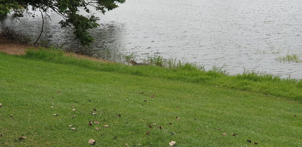 20180928-083439.jpg
