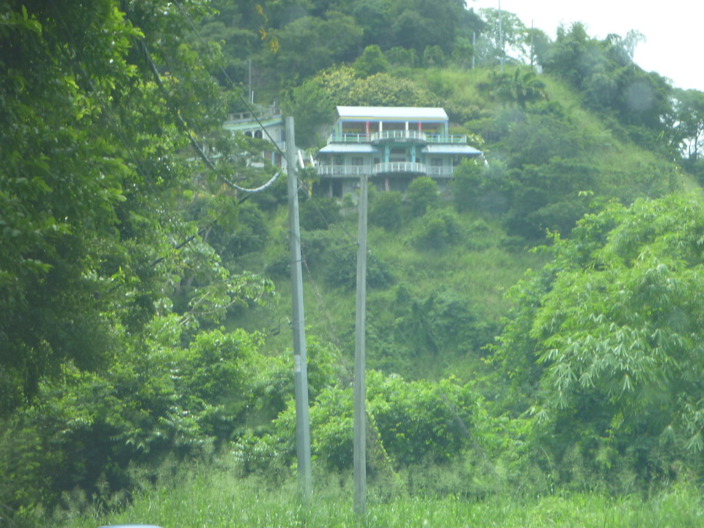 P1020739.JPG