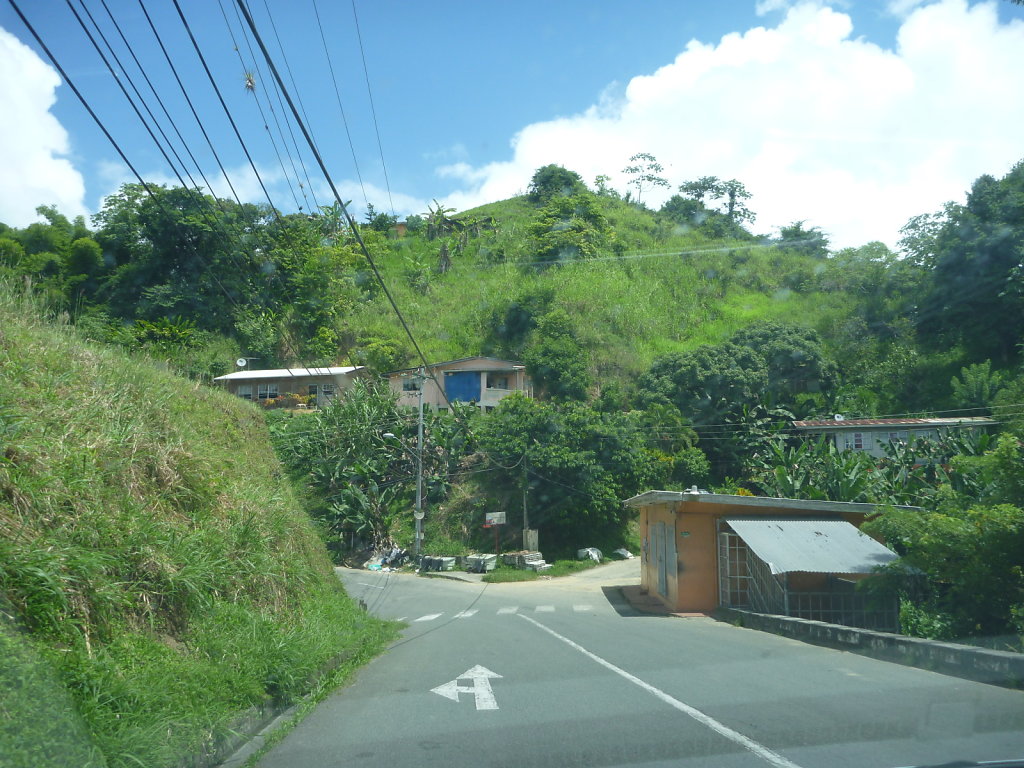 P1020731.JPG