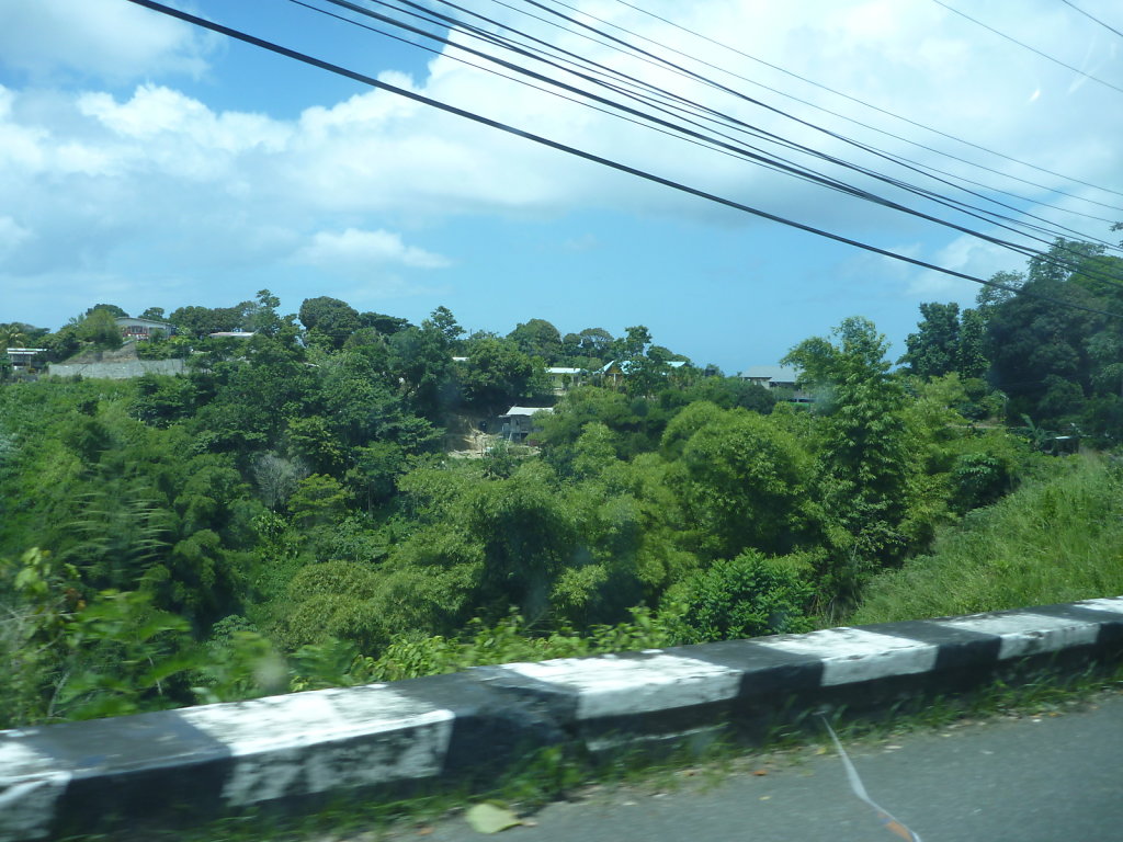 P1020729.JPG