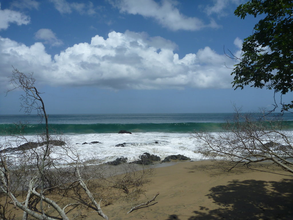 P1020701.JPG