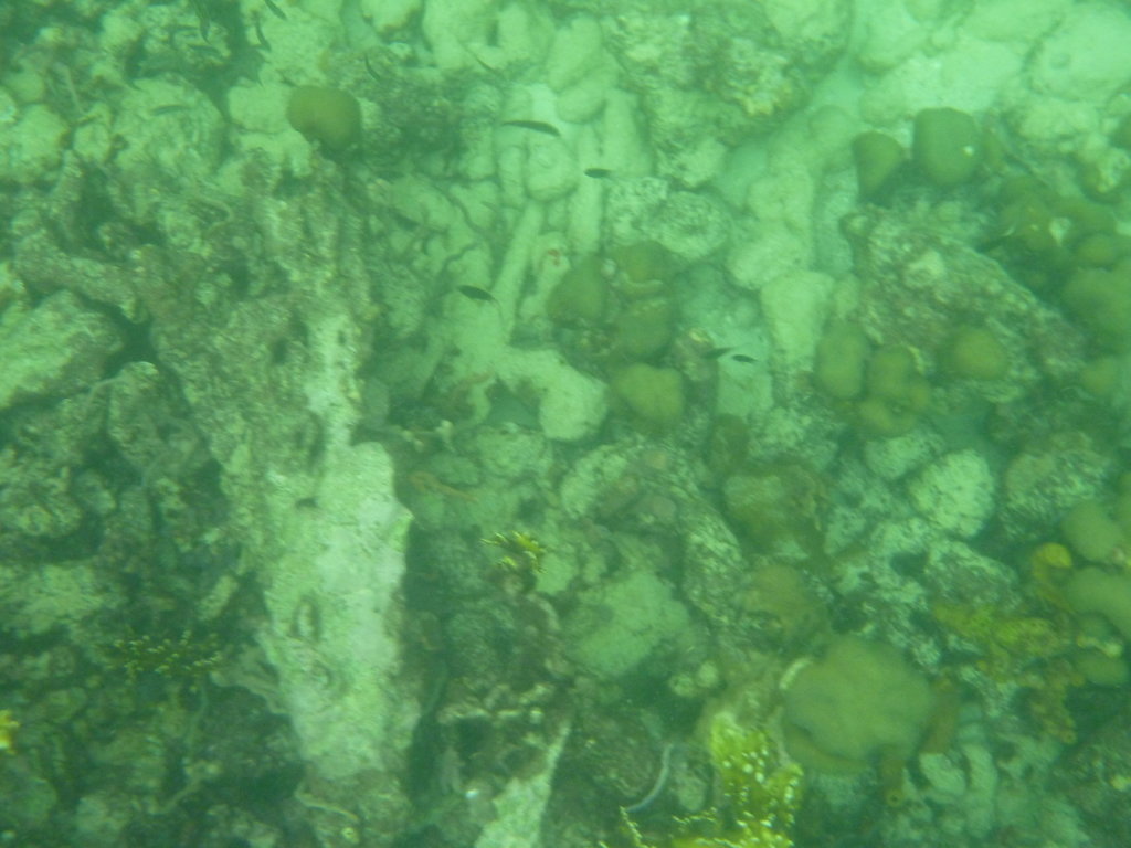 P1020659.JPG