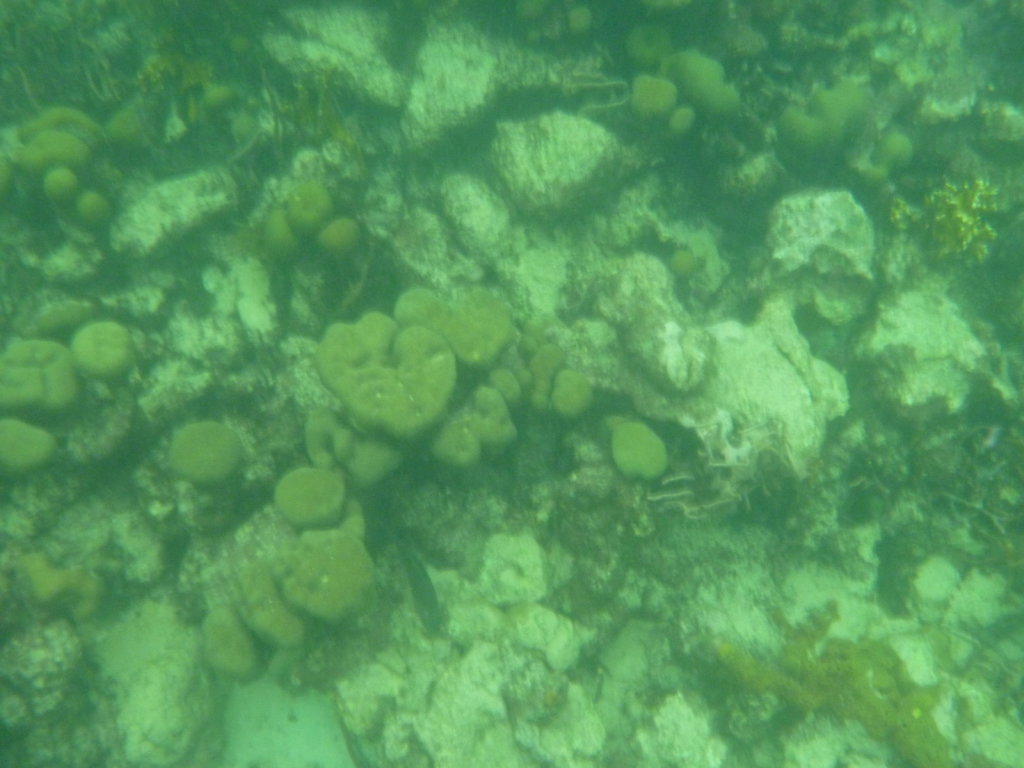 P1020655.JPG