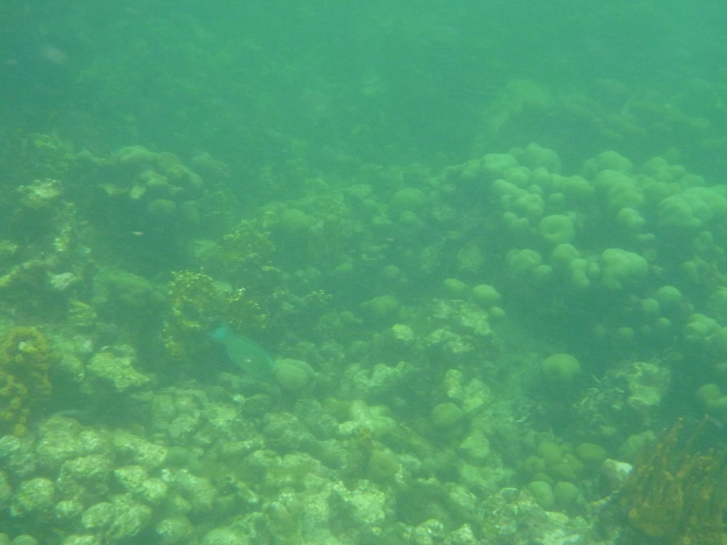 P1020651.JPG