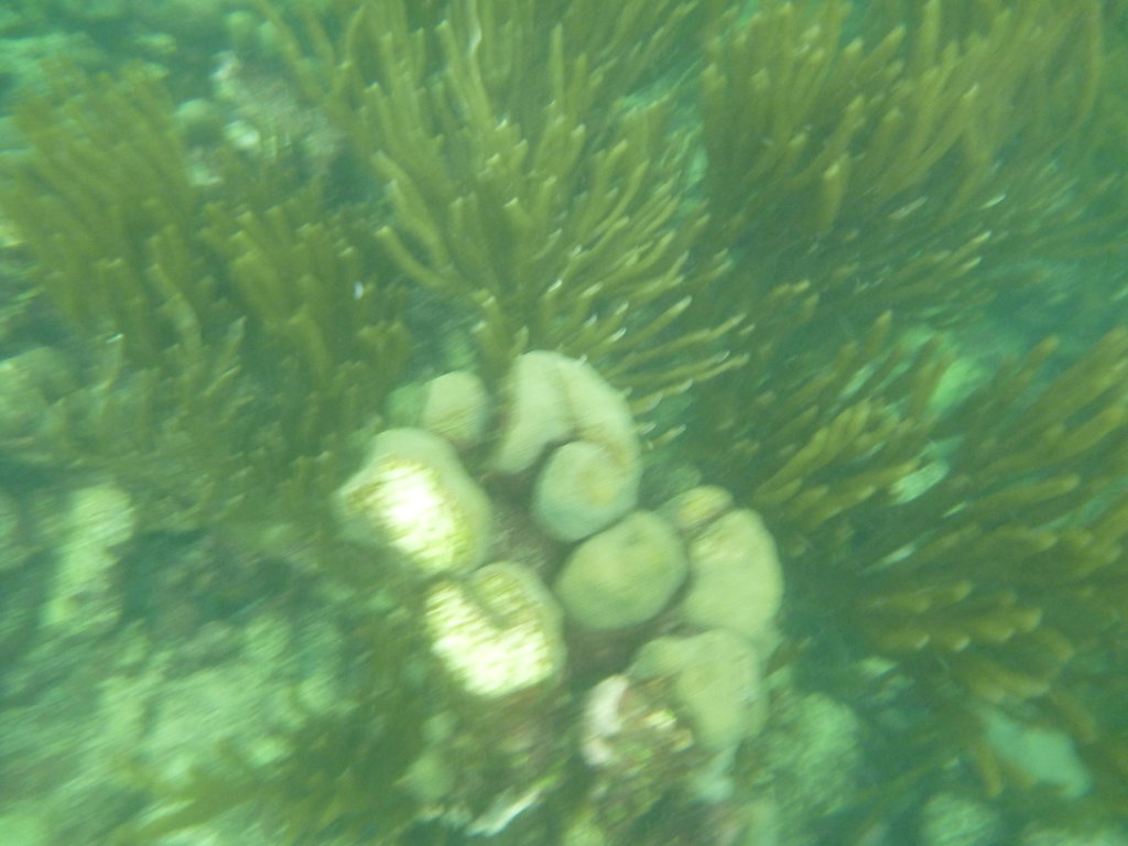 P1020642.JPG