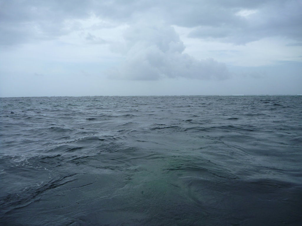 P1020632.JPG