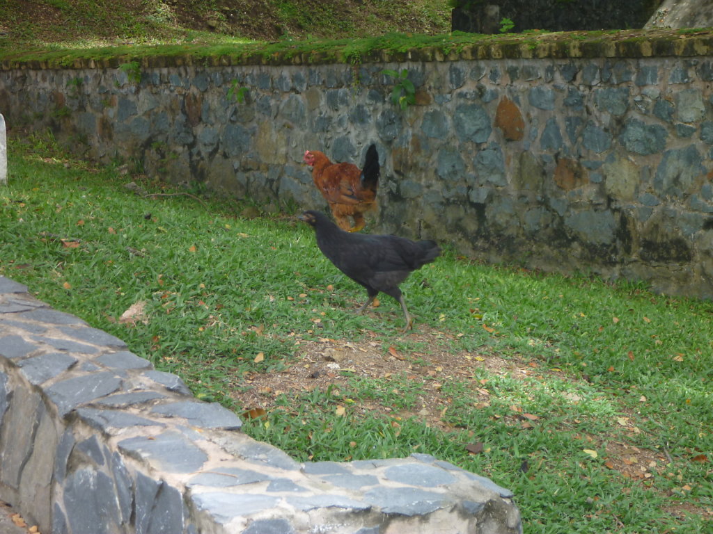 P1020567.JPG