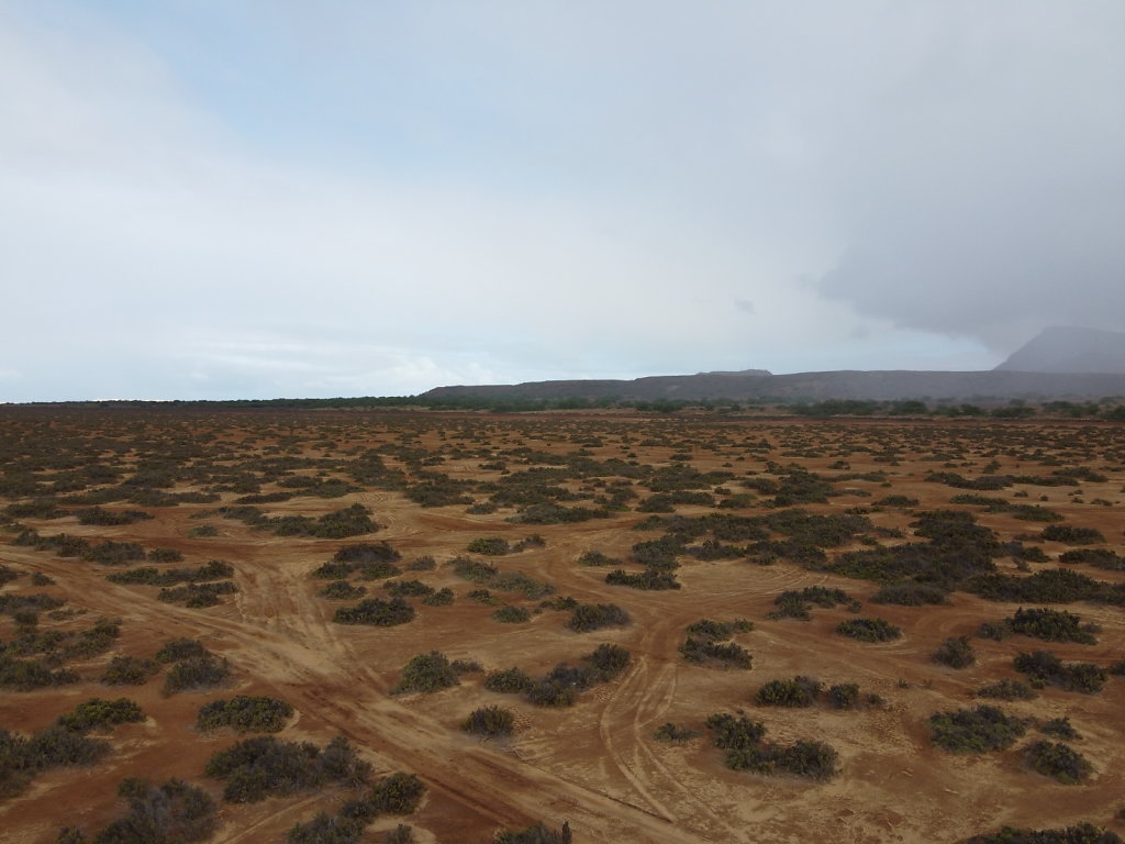 DJI-0012.JPG