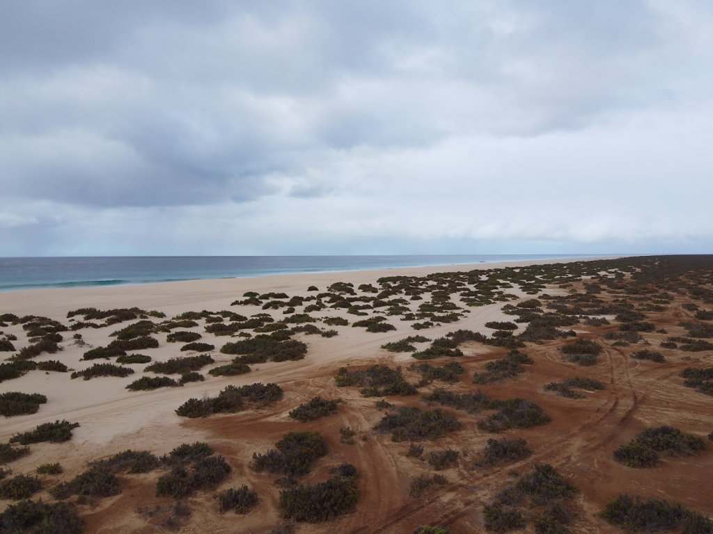 DJI-0014.JPG