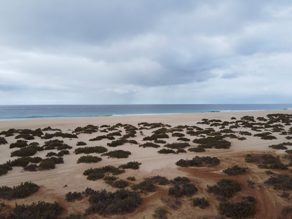 DJI-0015.JPG