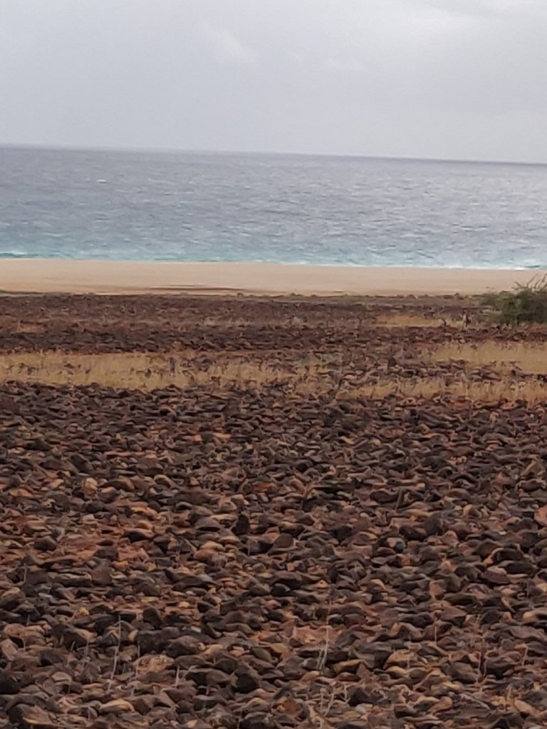 IMG-20191206-152604.jpg