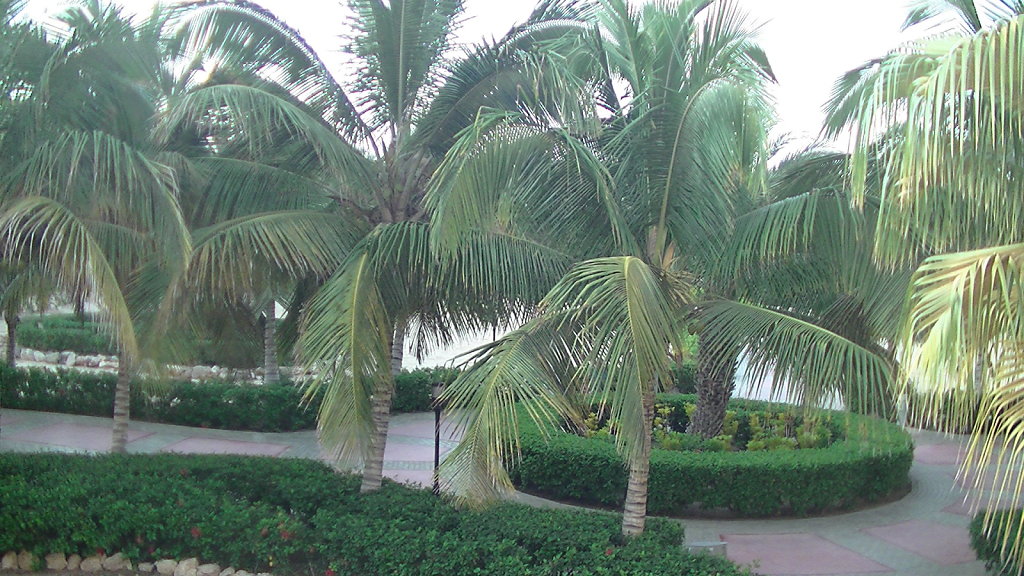 PIC-0005.JPG