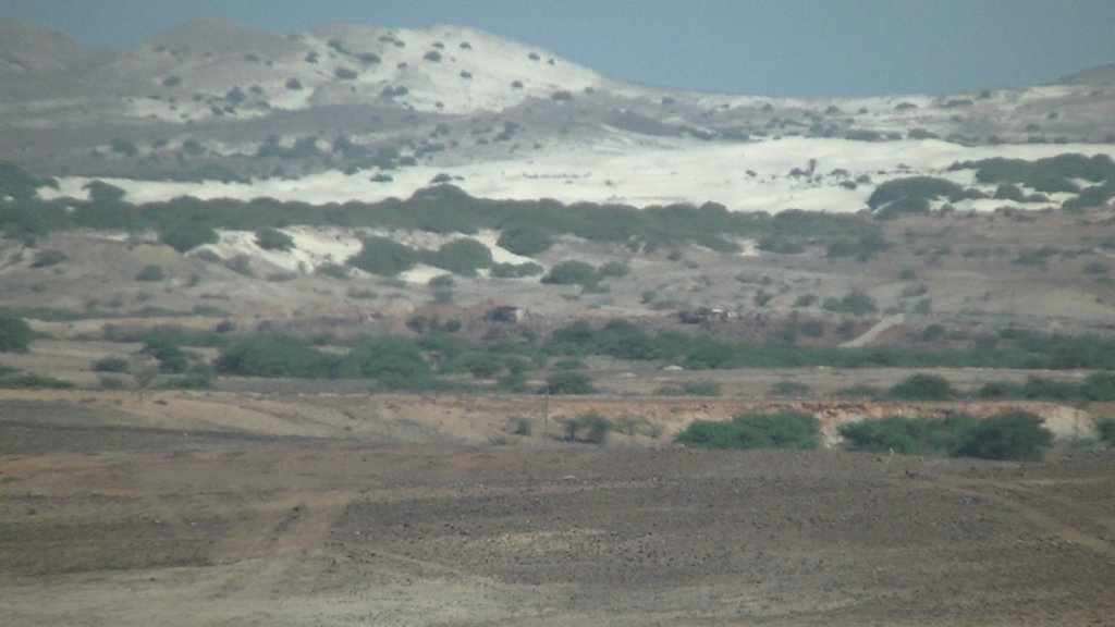 PIC-0008.JPG